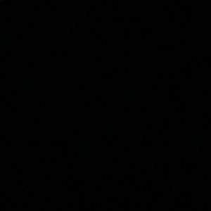 Meet your Posher, Lane